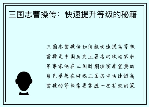 三国志曹操传：快速提升等级的秘籍