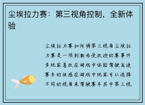 尘埃拉力赛：第三视角控制，全新体验